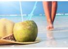 Ya tienes tu Ticket para viajar a Republica Dominicana?
