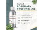Rosemary Essential Oil – Boost Focus, Hair Growth & Natural Wellness | Raasa Oils