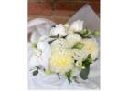 Fresh Blooms, Thoughtful Designs – Your Local Floral Experts