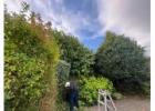 Eco-Friendly Garden Waste Removal in Galway